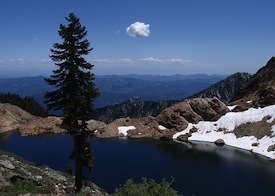 NCIDC Logo Trinity County Picture
